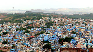 A view of the Blue city, Jopdhpur, from top of the Mehrangarh Fort | മെഹ്റാൻഗഢ് കോട്ടയ്ക്കു മുകളിൽനിന്നുള്ള ജോധ്പൂർ നഗരത്തിന്‍റെ ദൃശ്യം