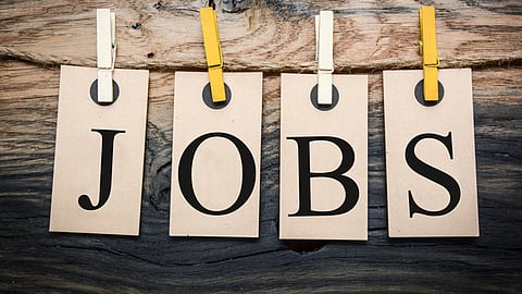 job news