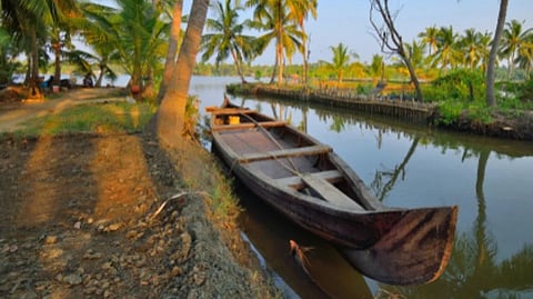 A view from Kumbalangi