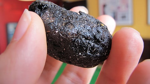 Ambergris