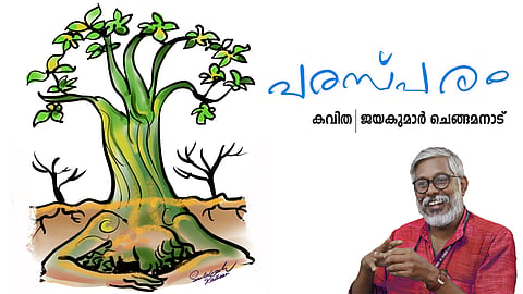 കവിത ‌| പരസ്പരം