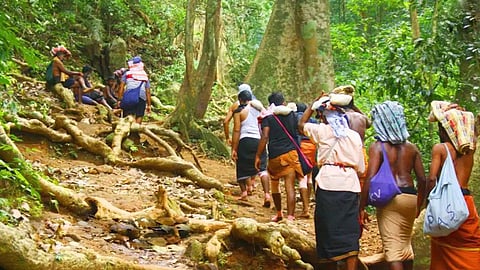 Food Safety Department inspects 350 places in a week in connection with the Mandala season