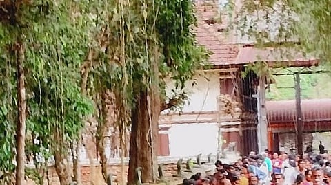 Ppambummekkattu Mana