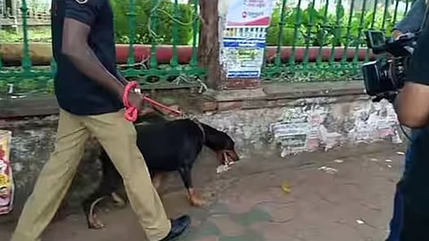 സെക്രട്ടേറിയേറ്റ് പരിസരത്ത് ബോംബ് സ്കോഡ് പരിശോധന നടത്തുന്നു