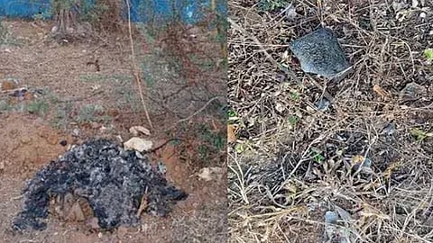 പാർലമെന്‍റ് പുകയാക്രമണം; പ്രതികളുടെ ഫോണുകൾ കത്തിക്കരിഞ്ഞ നിലയിൽ
