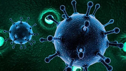 what is jn1 covid variant details to know