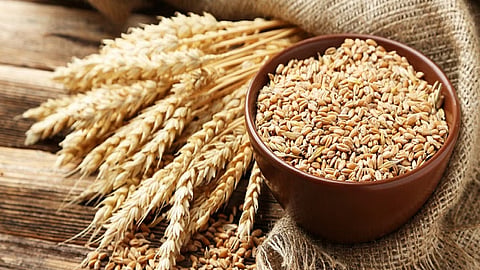 wheat