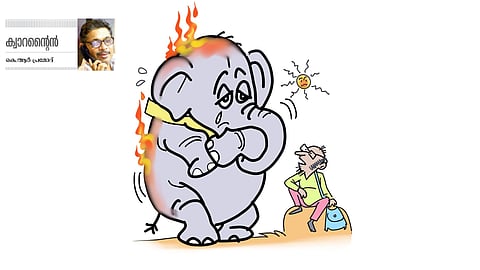 ബേലൂർ മഖ്ന ഹൃദയം തുറക്കുന്നു  