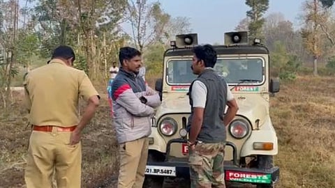 രണ്ടാം ദിനത്തിലും കീഴടങ്ങാതെ  ബേലൂർ മഖ്ന; ഒരു തവണ വെടിയുതിർത്തെങ്കിലും ലക്ഷ്യം പാളി