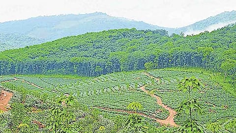 ശബരിമല വിമാനത്താവളം; 2,570 ഏ​ക്ക​ര്‍ ഭൂ​മി ഏ​റ്റെ​ടു​ക്കാ​ൻ ന​ട​പ​ടി ആ​രം​ഭി​ച്ചതായി മുഖ്യമന്ത്രി