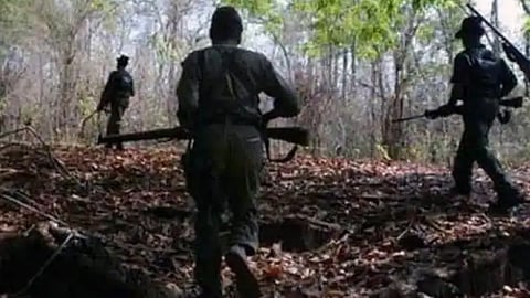 50 naxals surrender in chhattisgarhs bijapur