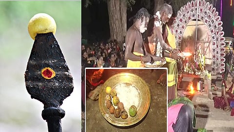 തമിഴ്നാട്ടിൽ 2.3 ലക്ഷം രൂപയ്ക്ക് വിറ്റത്  നേദിച്ച 9 ചെറുനാരങ്ങകൾ