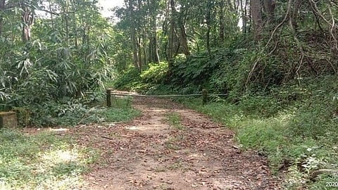 ആലുവ -മൂന്നാർ പാത 