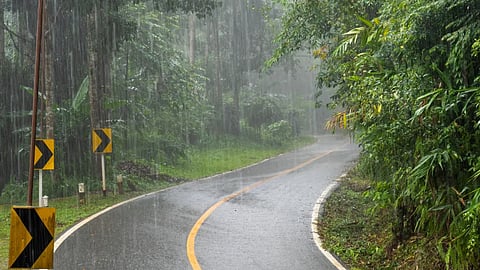 heavy rain in idukki district collector bans night travel