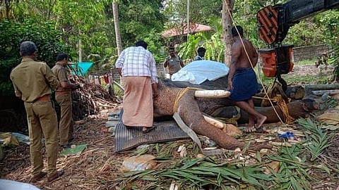 ഗജരാജൻ പട്ടാമ്പി കർണൻ ചരിഞ്ഞു