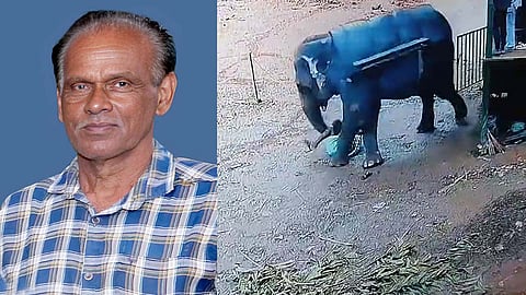 തളയ്ക്കുന്നതിനിടെ ആനയുടെ ചവിട്ടേറ്റ് പാപ്പാൻ മരിച്ചു;  
സ്വകാര്യ ആന സഫാരി കേന്ദ്രത്തിനെതിരേ കേസ്