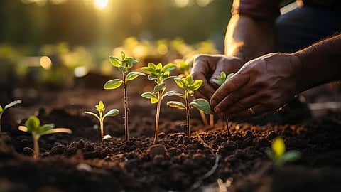 32 organic fertilizers are of poor quality says Agriculture Minister