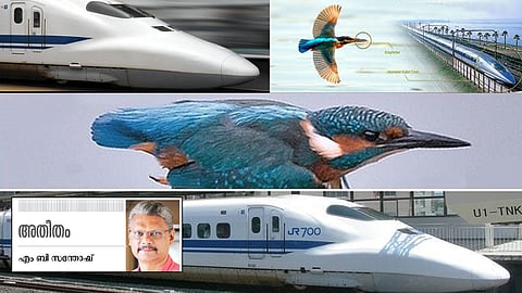 പുതിയ കാലത്തിന്‍റെ ബയോ മിമിക്രി