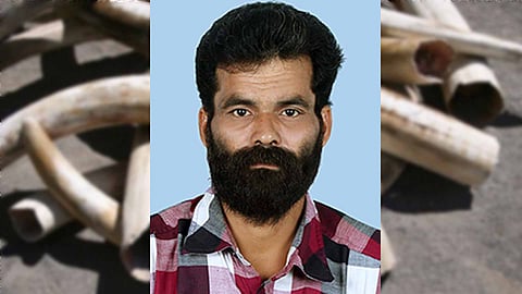 Mamalakandam elephant poaching case