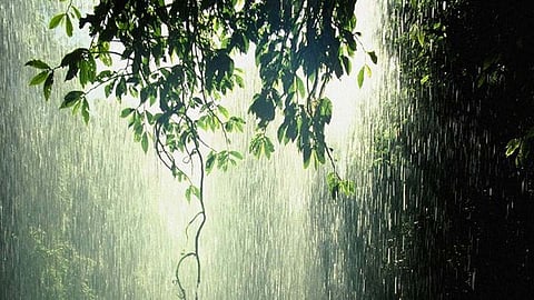 6 dead in rain-related incidents in Maharashtra