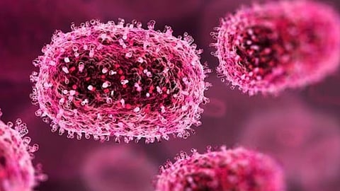 h1n1 disease spread in kollam 4 students