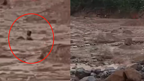 wayanad landslide rescue operation