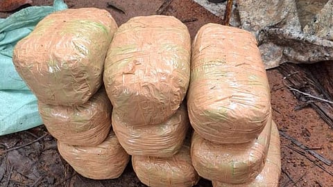 18 kg ganja seized in alappuzha