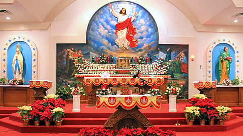 Unified Holly Mass issue solution