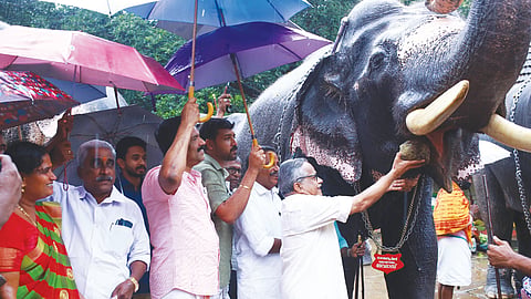 ഗുരുവായൂർ ദേവസ്വത്തിലെ ആനകളുടെ സുഖചികിത്സ ദേവസ്വം ചെയർമാൻ ഡോ. വി.കെ. വിജയൻ ഗജവീരൻ ദേവദാസിന് ആദ്യ ഔഷധ ഉരുള നൽകി ഉദ്ഘാടനം ചെയ്യുന്നു.