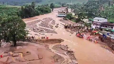 Wayanad tragedy: High Court tells Centre not to seek mercy, says no to Chittamma policy
