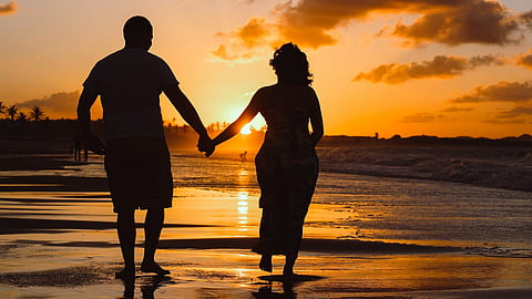 Rajasthan HC order Web portal to register live-in relationships