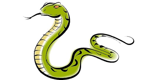 Magistrate bitten by snake in Cherthala