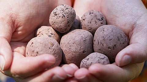 Seed bombing at Thrissur