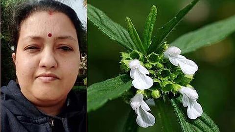 food poison cherthala woman died after eating Common leucas 