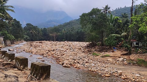 This was a rubber plantation, now Pullakayar flows through here ഇതൊരു റബർ തോട്ടമായിരുന്നു, ഇന്നു പുല്ലകയാർ