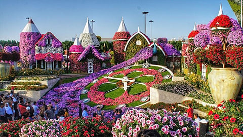 Dubais floral wonder can be enjoyed from Saturday