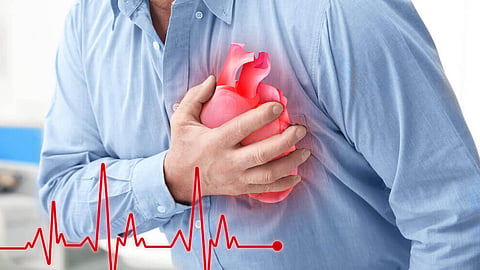 heart disease risk in south asians