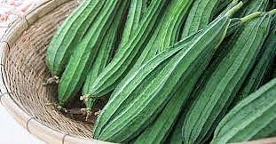  Ridge Gourd