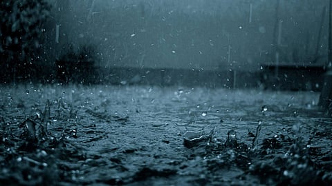 rain updates yellow alert in 8 districts in kerala