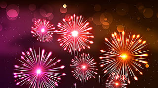 ആശങ്ക ഒഴിയാതെ തൃശൂർ പൂരം വെടിക്കെട്ട് Centre regulation puts Thrissur Pooram fireworks under threat