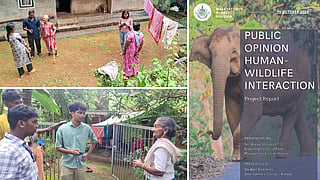 campus to forest; student scientists survey over  human- wildlife interaction