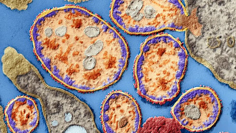 scientist treated her own cancer using lab-grown viruses