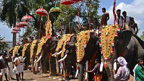 Highcourt amendment on elephant guidelines in festival seasons