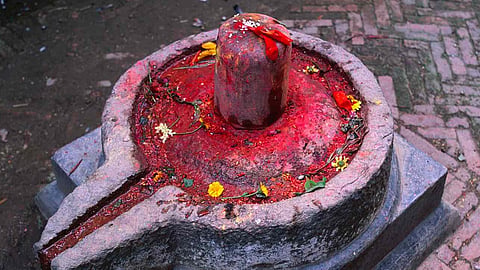 Teen girl chop off her tongue and offered it to Shiva linga