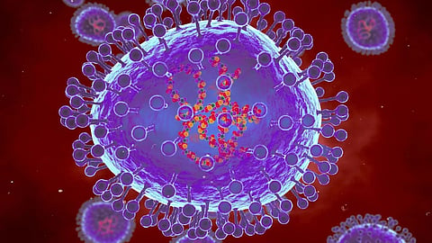 Chinese virologists say new bat coronavirus could infect humans via same route as Covid-19