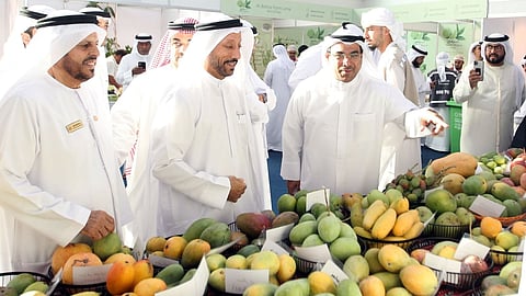 Expo Khorfakan Sharjah