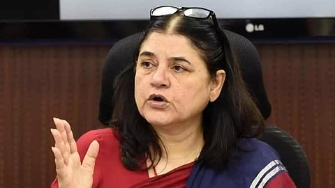 kerala likes to kill wild animals; maneka gandhi says the solution is to move people from the forest