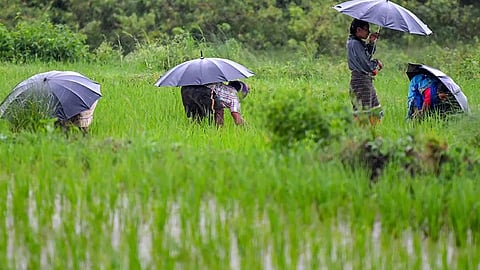 Budget and the agricultural sector