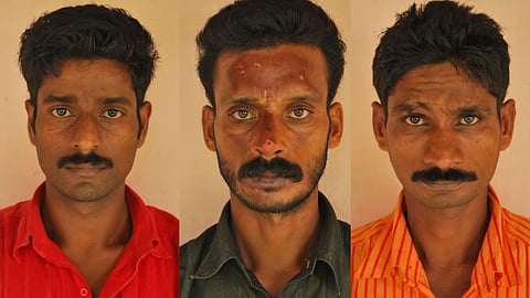 kuttambuzha elephant hunt case, verdict