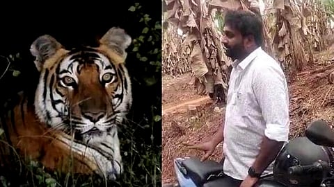 fake edited video of tiger Karuvarakundu case against youth